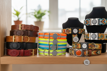 Pet Collars