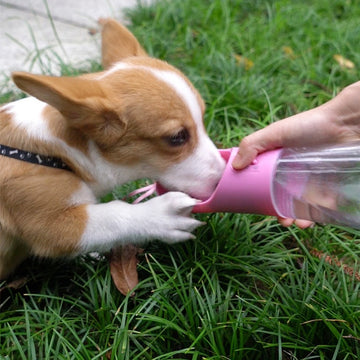 Dog Water Bottle - Portable Leak-Proof Dispenser
