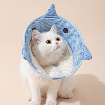 Soft Cat Recovery Collar - Elizabethan Cone