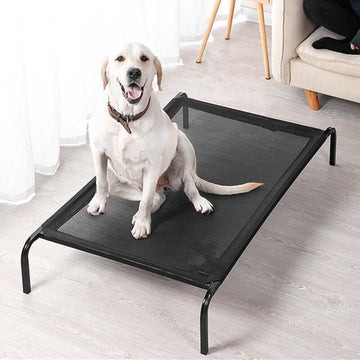 Outdoor Trampoline Pet Bed - Elevated Cot
