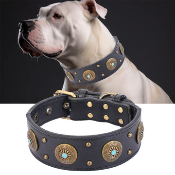 Retro Leather Dog Collar - Medium & Large Dogs