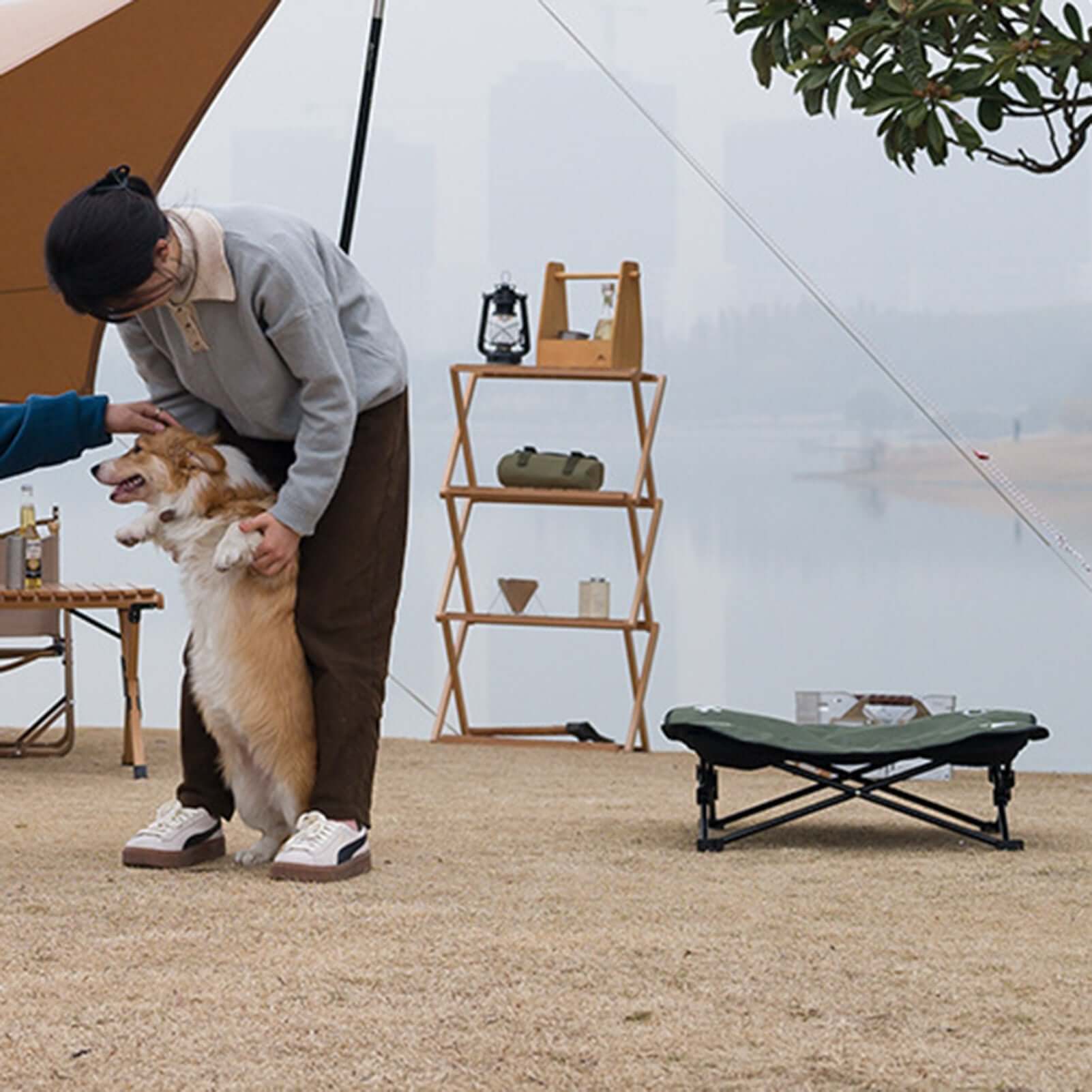 Person petting a dog in front of a tent with camping gear around